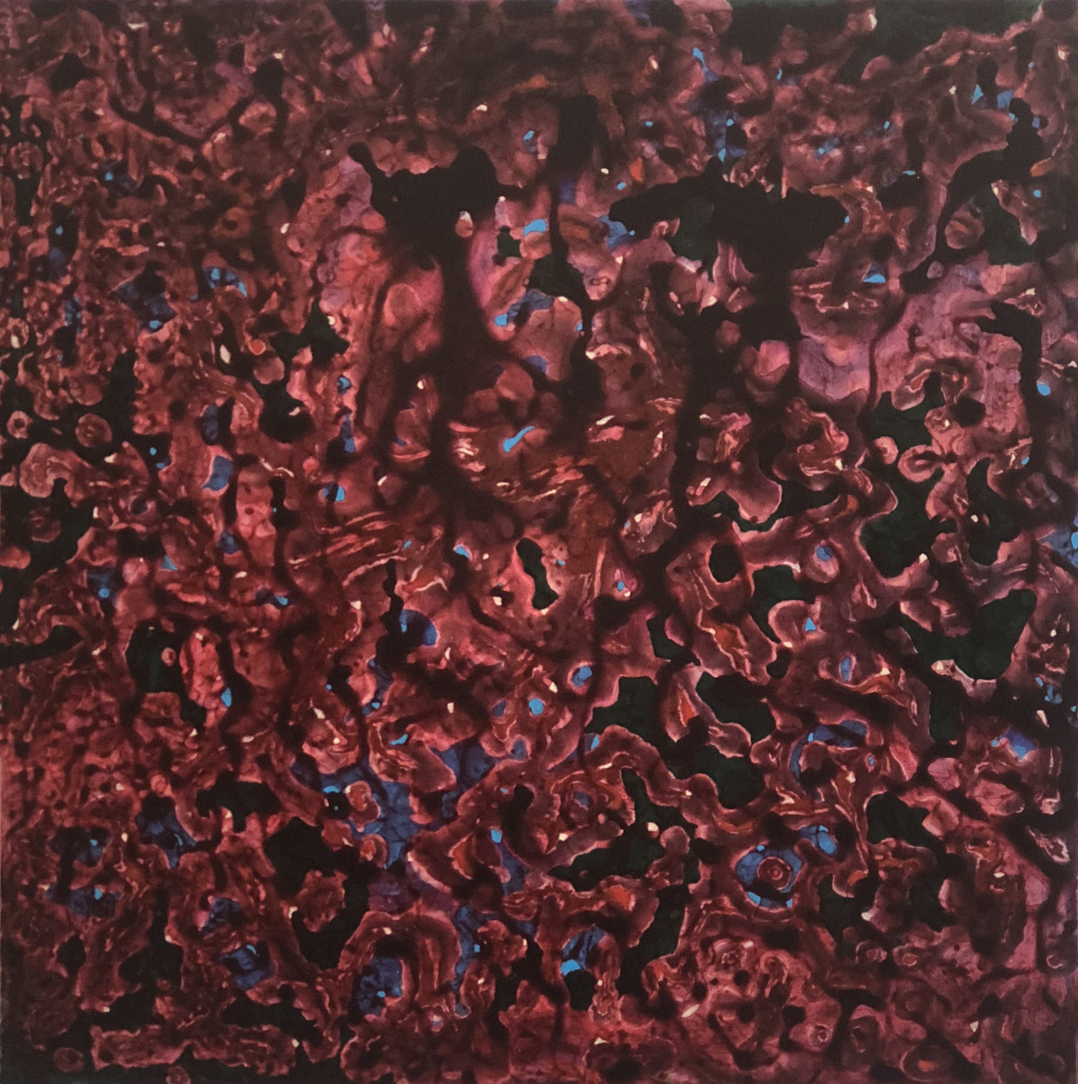 NIGHTFLYER by Richard Bruce 