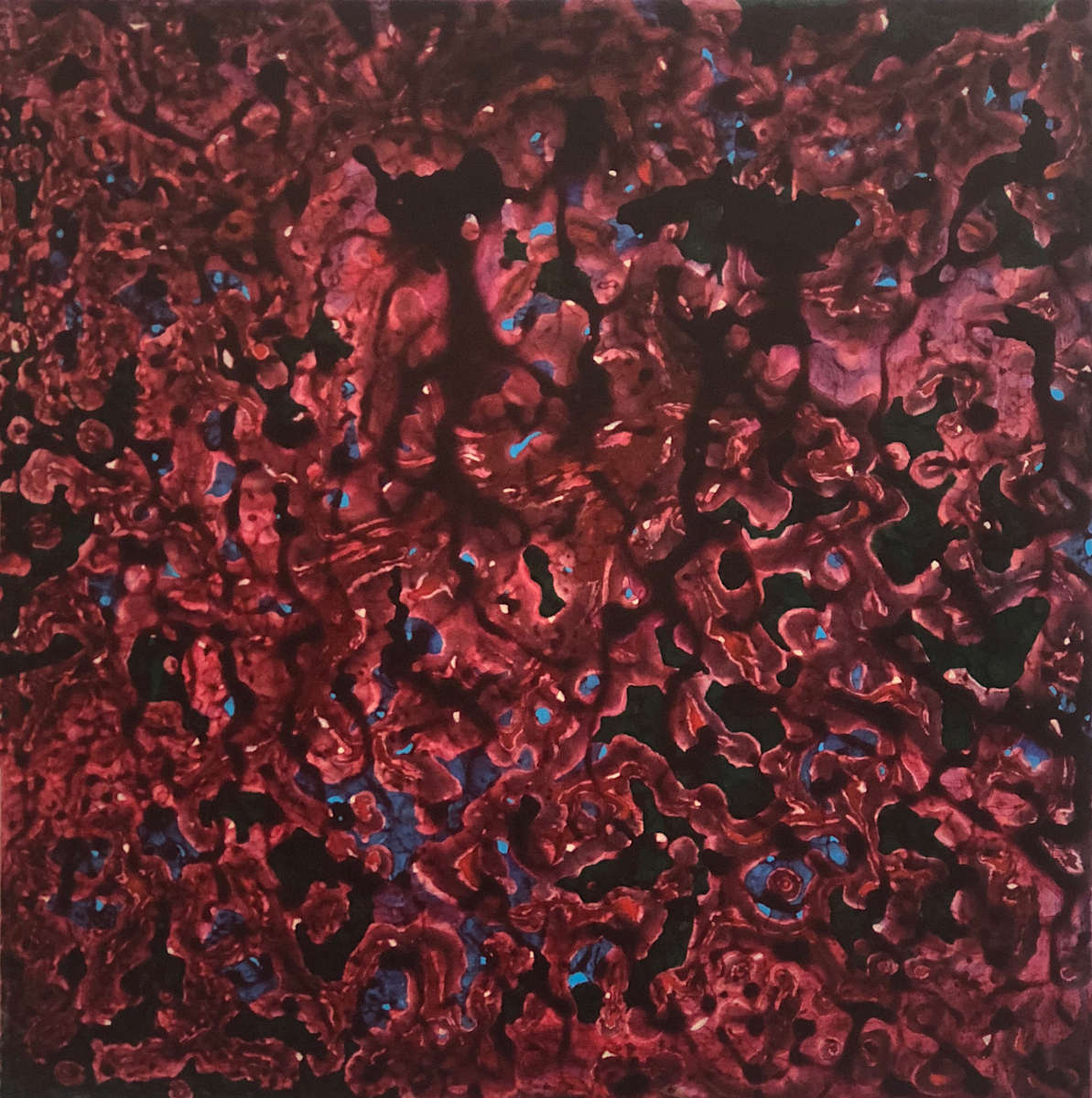 NIGHTFLYER by Richard Bruce, Image 1.