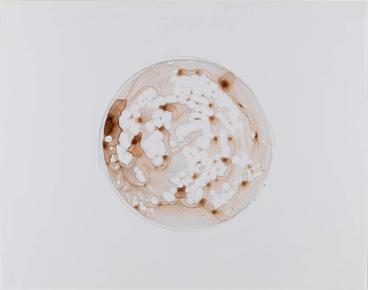 UNTITLED-RB20 by Richard Bruce, Image 1.