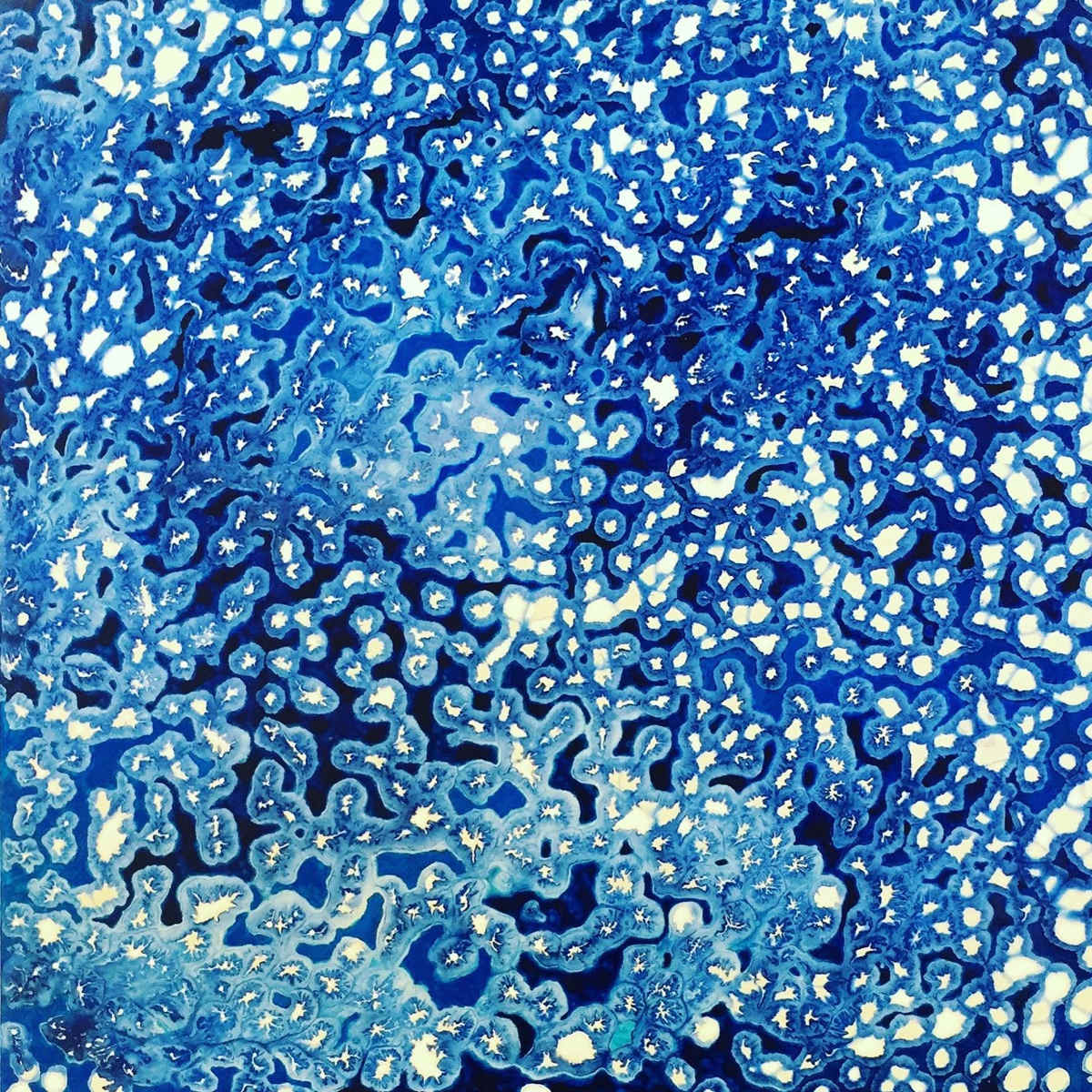 SECOND CONTRIBUTION by Richard Bruce, Image 1.