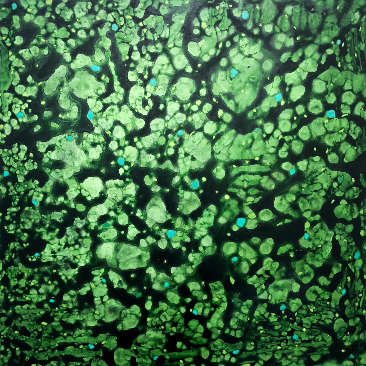 THE UNDERSTORY by Richard Bruce 