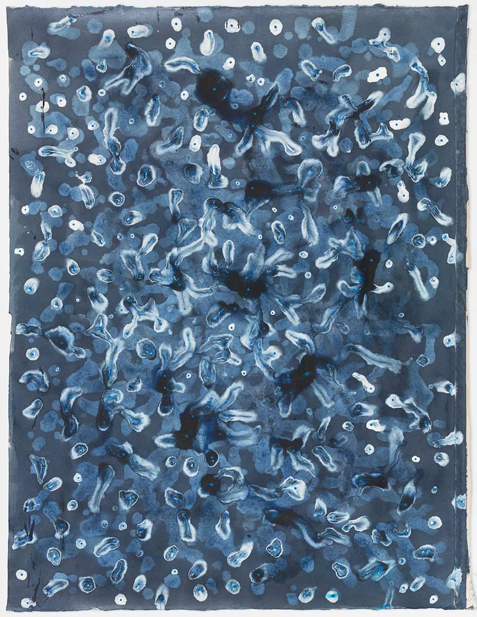 UNTITLED (NIGHT GARDEN SERIES) by Richard Bruce, Image 1.