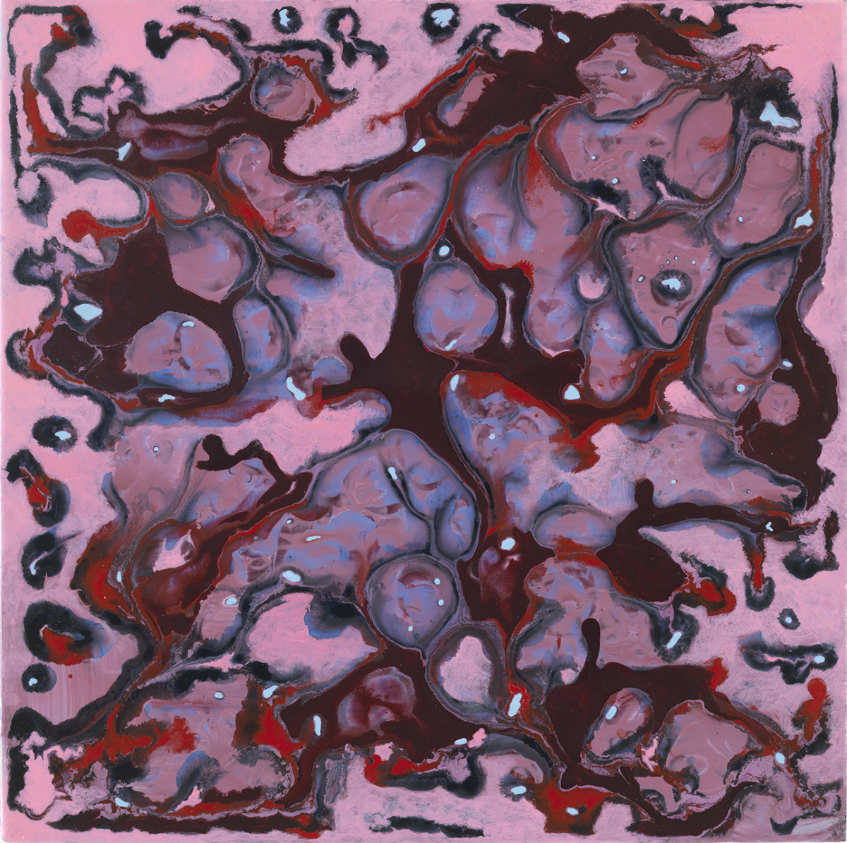 WHY I AM by Richard Bruce 