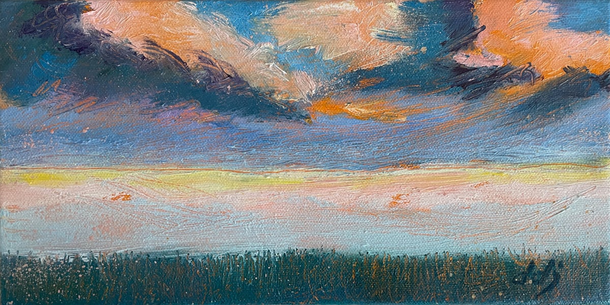 Field of Clouds by Daryl D. Johnson 