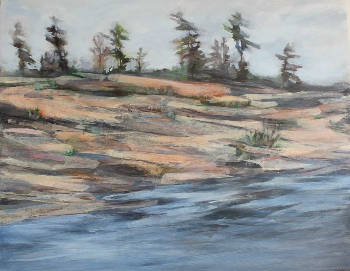 Chikanishing 19: Hidden in the Cleft by Sharon Helleman 