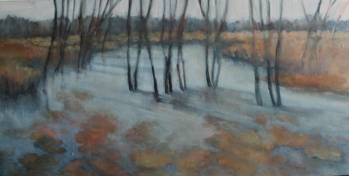 Mudlake Panorama by Sharon Helleman 