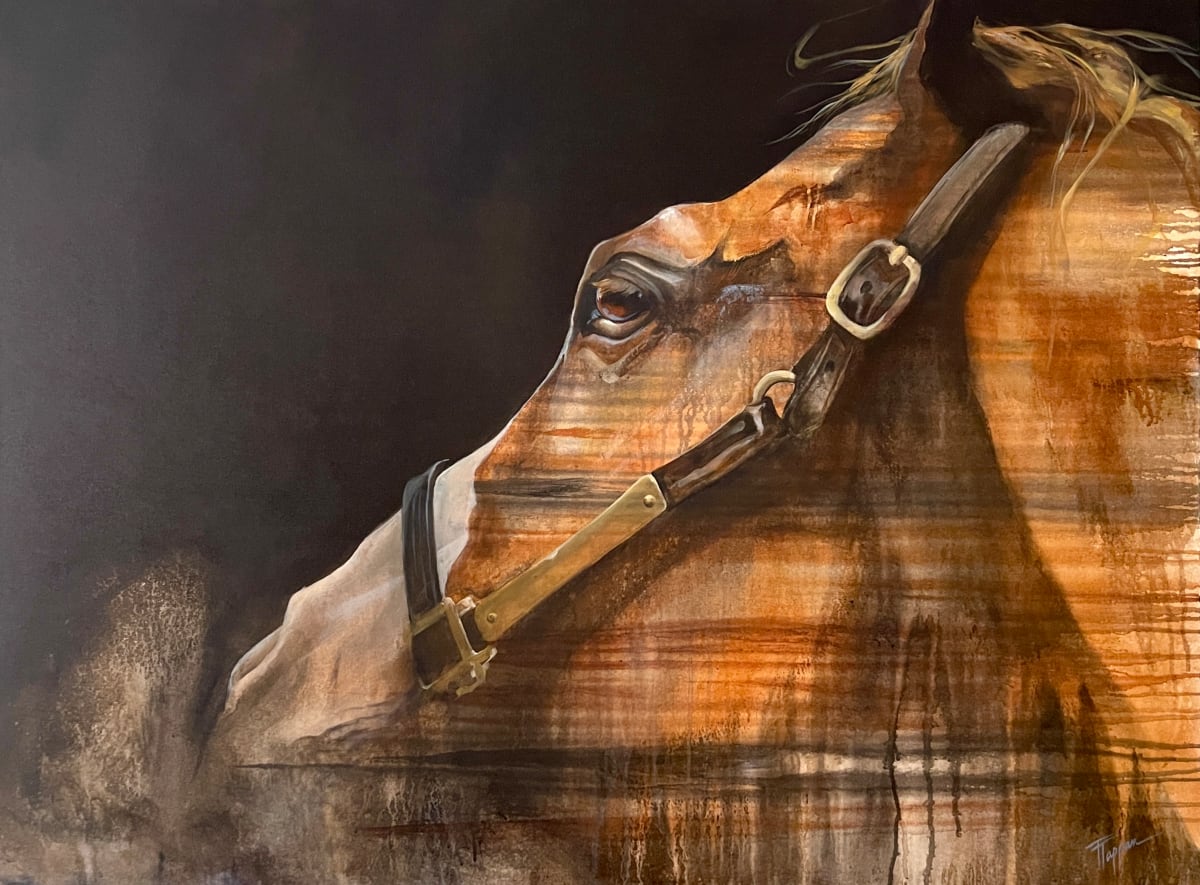 Purpose by Equine Instincts 