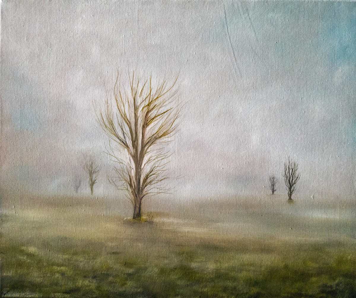 Misty Field by Mattis Richter, Image 1.