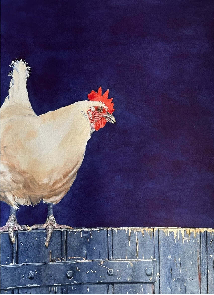 Halada Hen 2 by Jennifer Alexander Watercolors, Image 1.