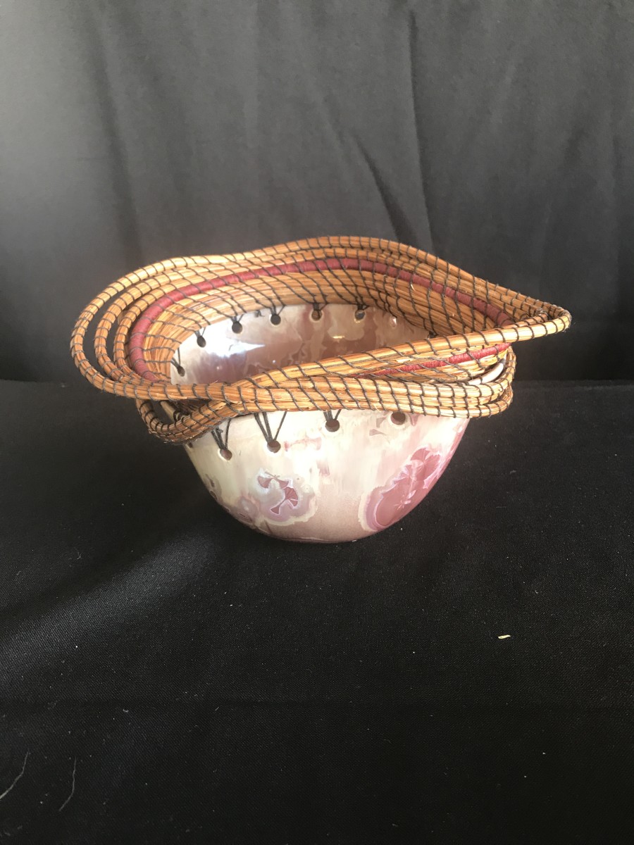 Rosy Boa by Nichole Vikdal 