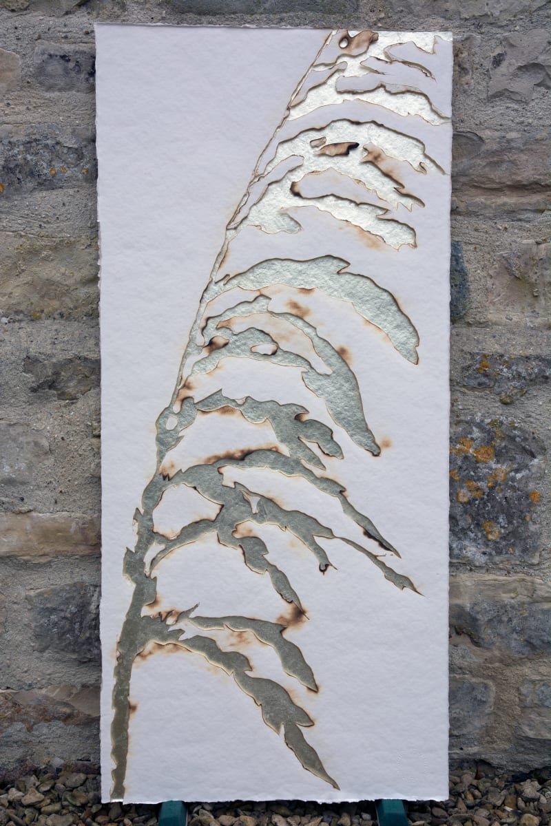 Playing With Fire, No. 115 