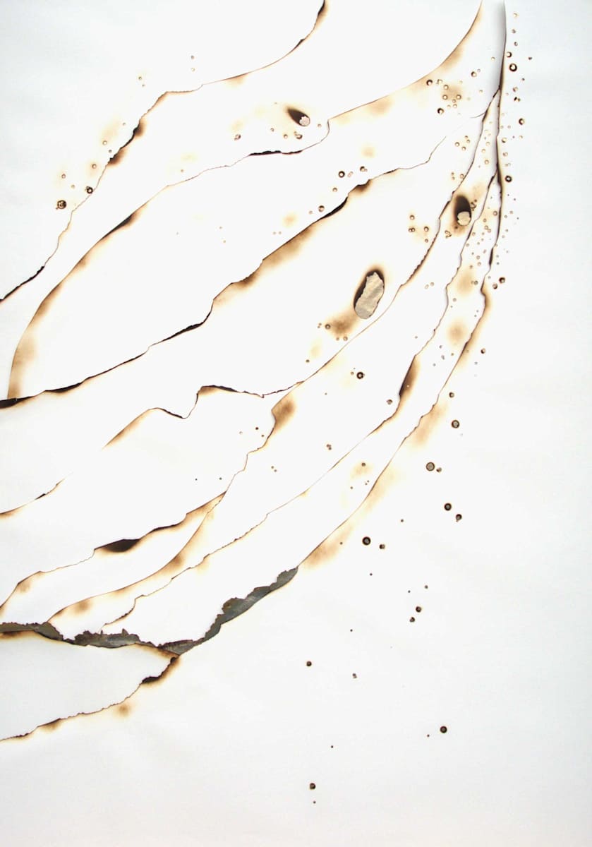 Playing With Fire, No. 28 by Kelly M O'Brien, Image 1.