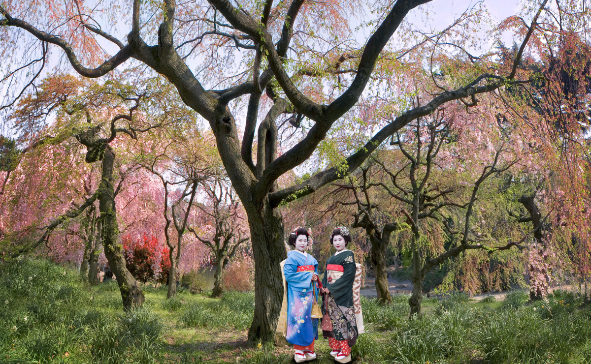 "Tokyo Blossom Twins" Japan by Kerry Shaw 