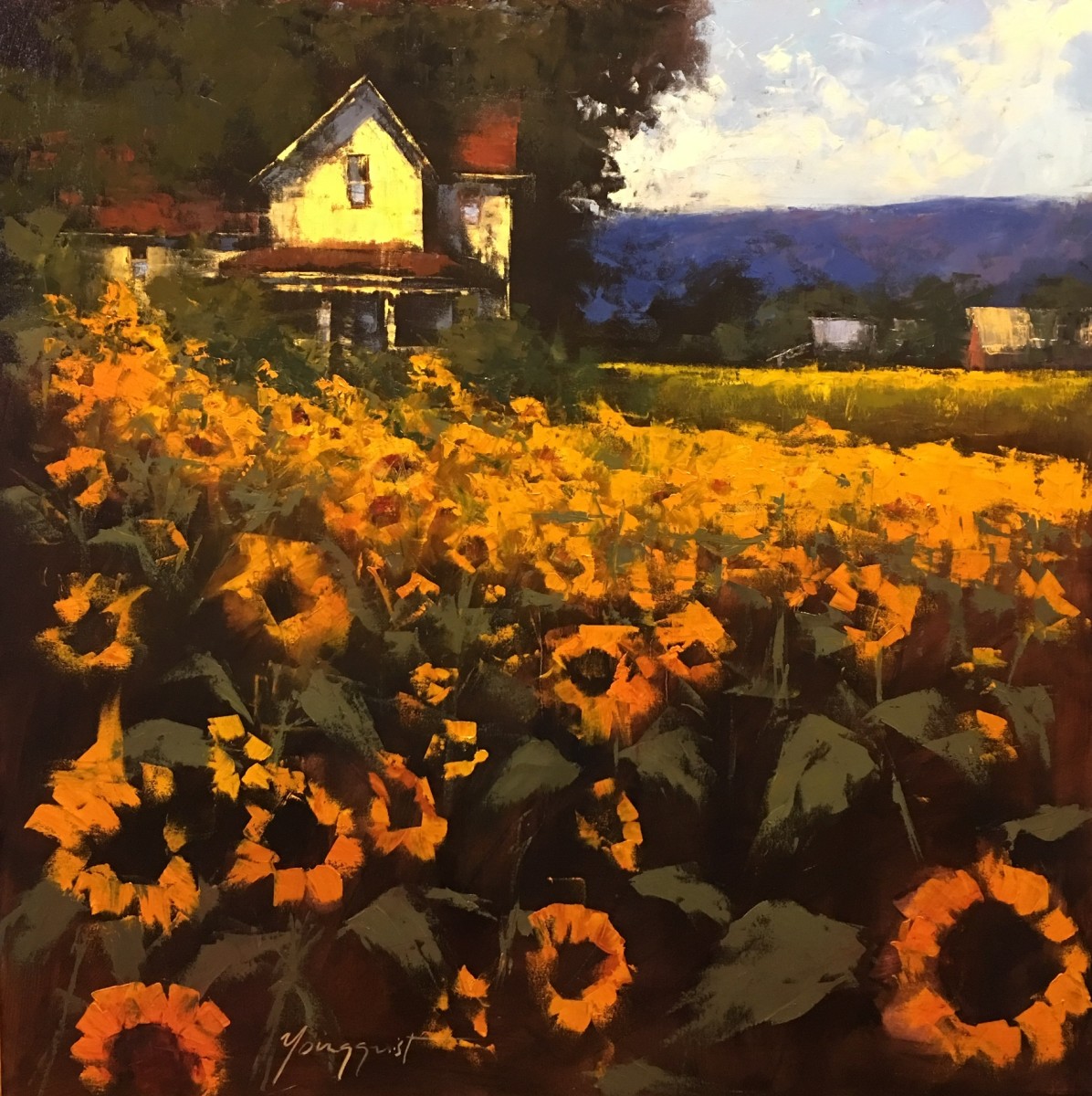 Sunflower Morning by Romona Youngquist 