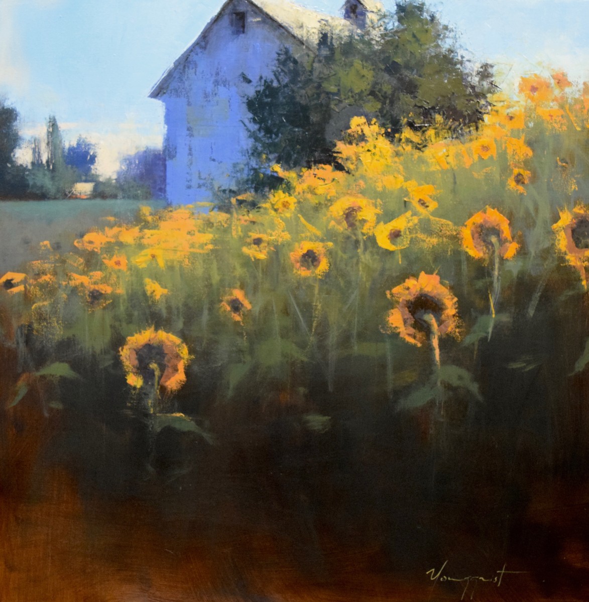 Sunflowers Facing East by Romona Youngquist 