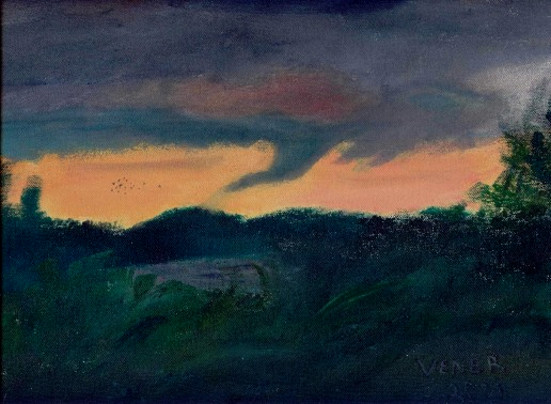 Birds Fleeing a Funnel Storm by Patricia C Vener 