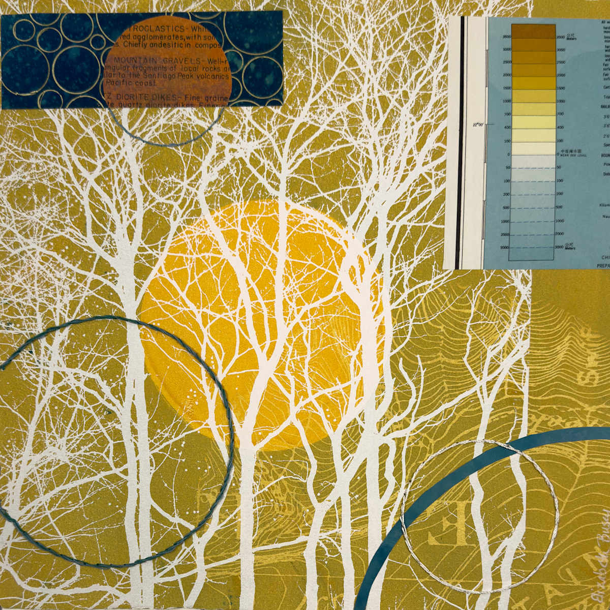 Apricot Rising by Elizabeth Busey, Image 1.