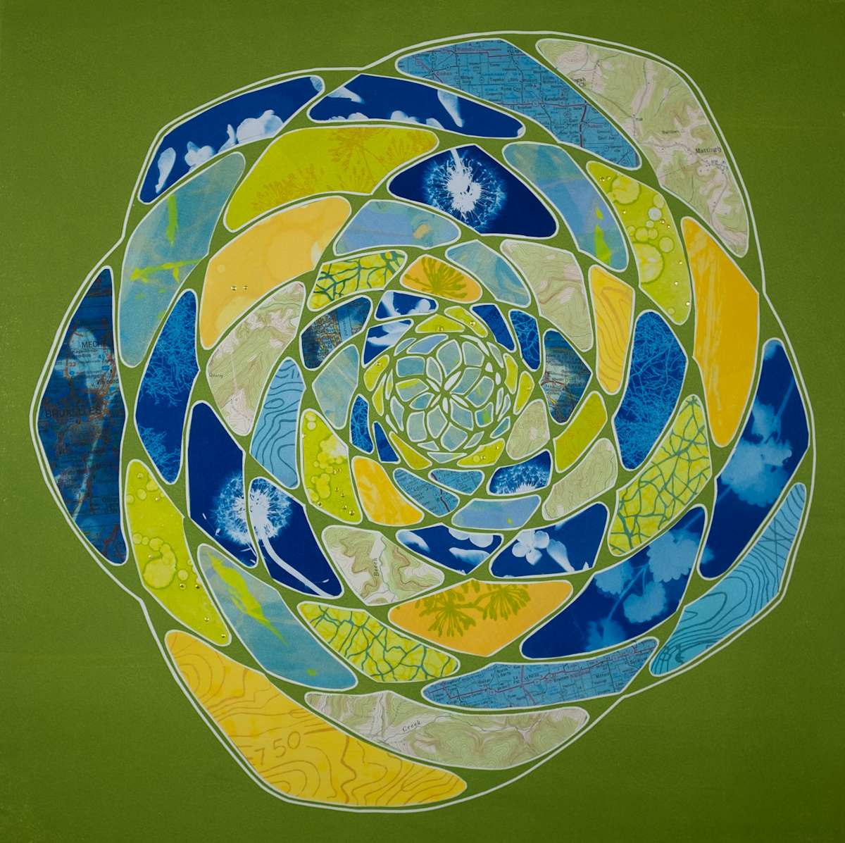 Burgeoning by Elizabeth Busey 