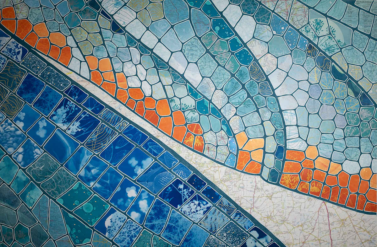 Revealed in Flight by Elizabeth Busey 