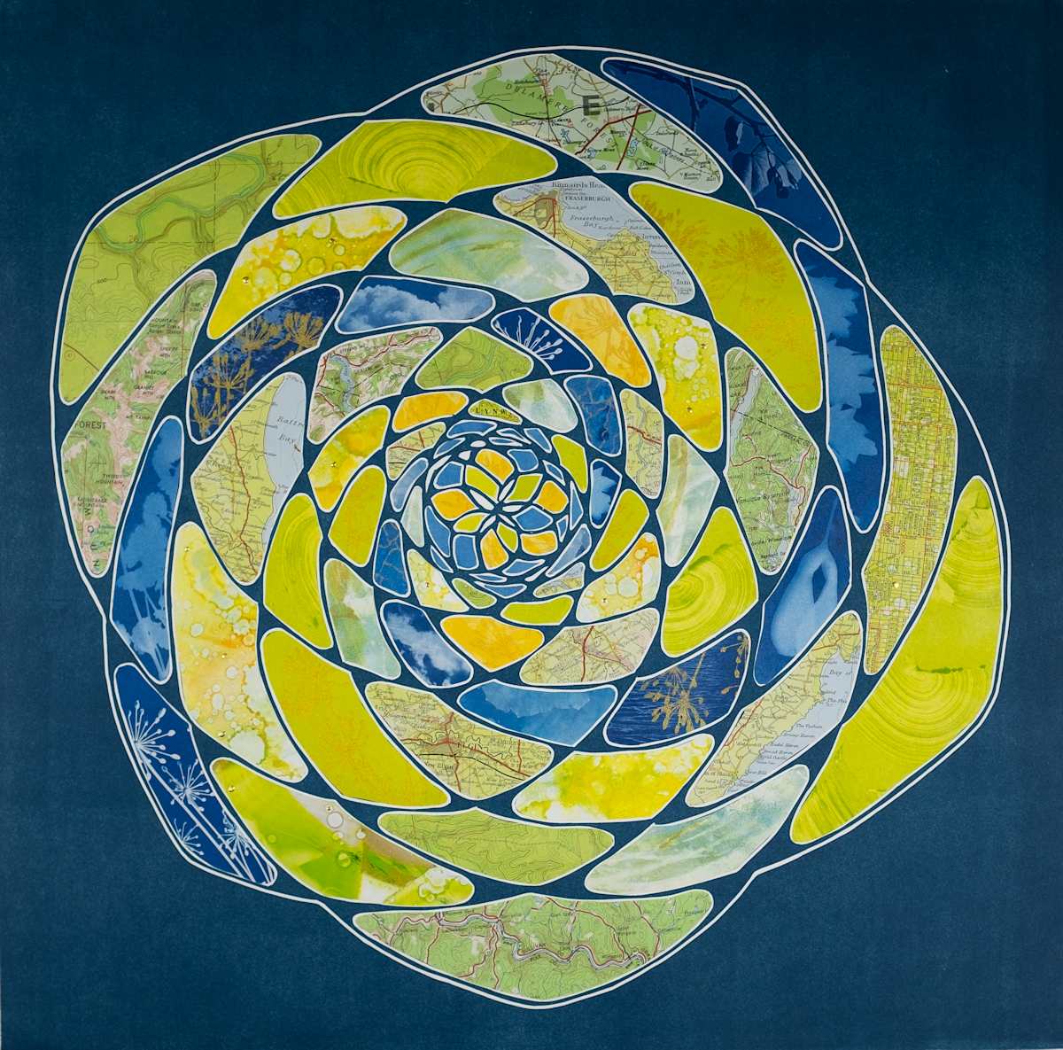 Wayside Blossom by Elizabeth Busey 