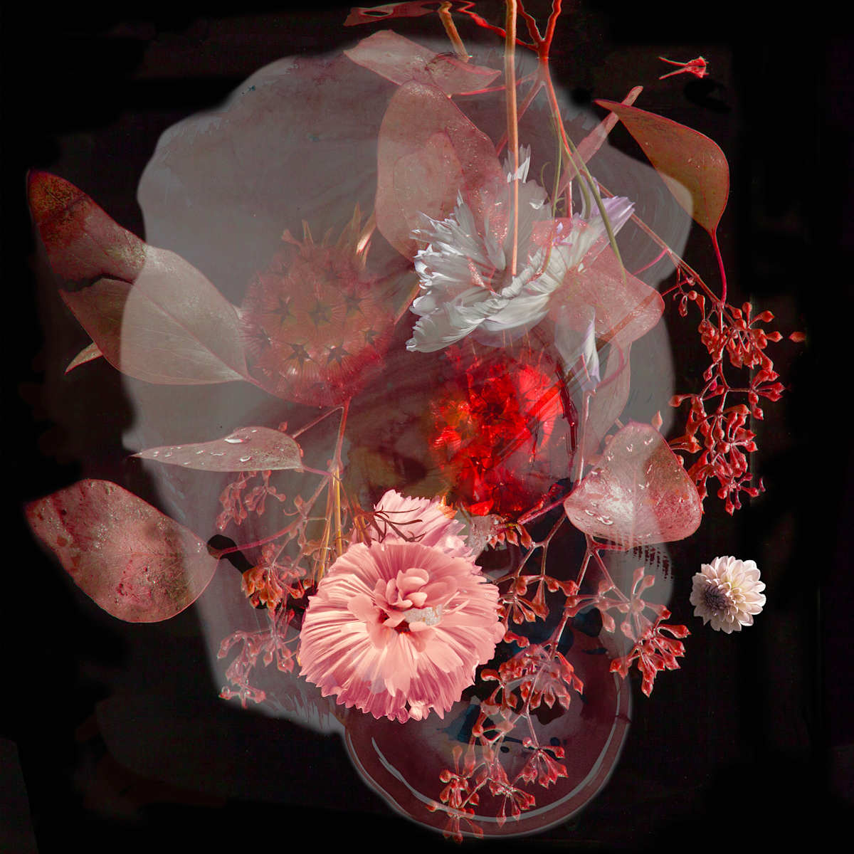 Cherry bomb - 1 by Carol P Paquet, Image 1.