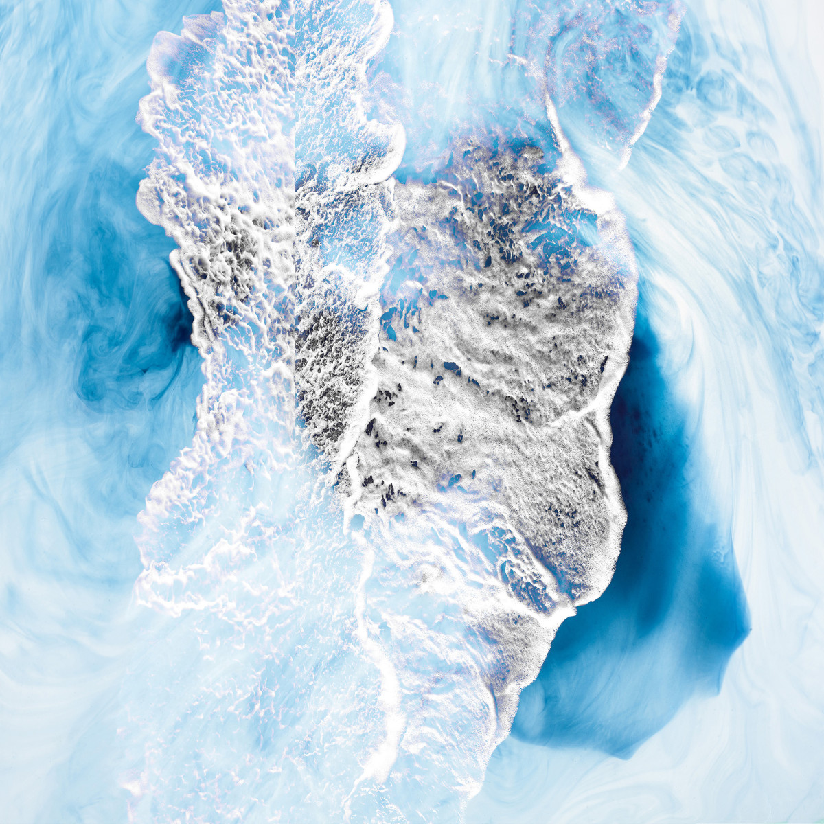 Coral candy 1 by Carol Paquet 