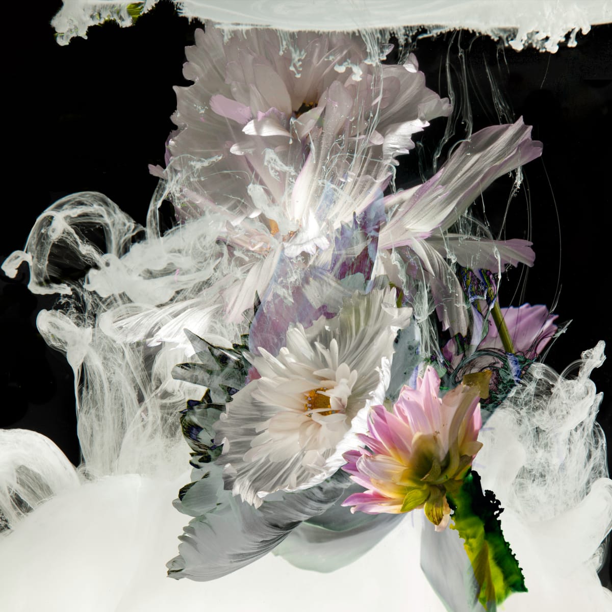 Cosmos convention - 2 