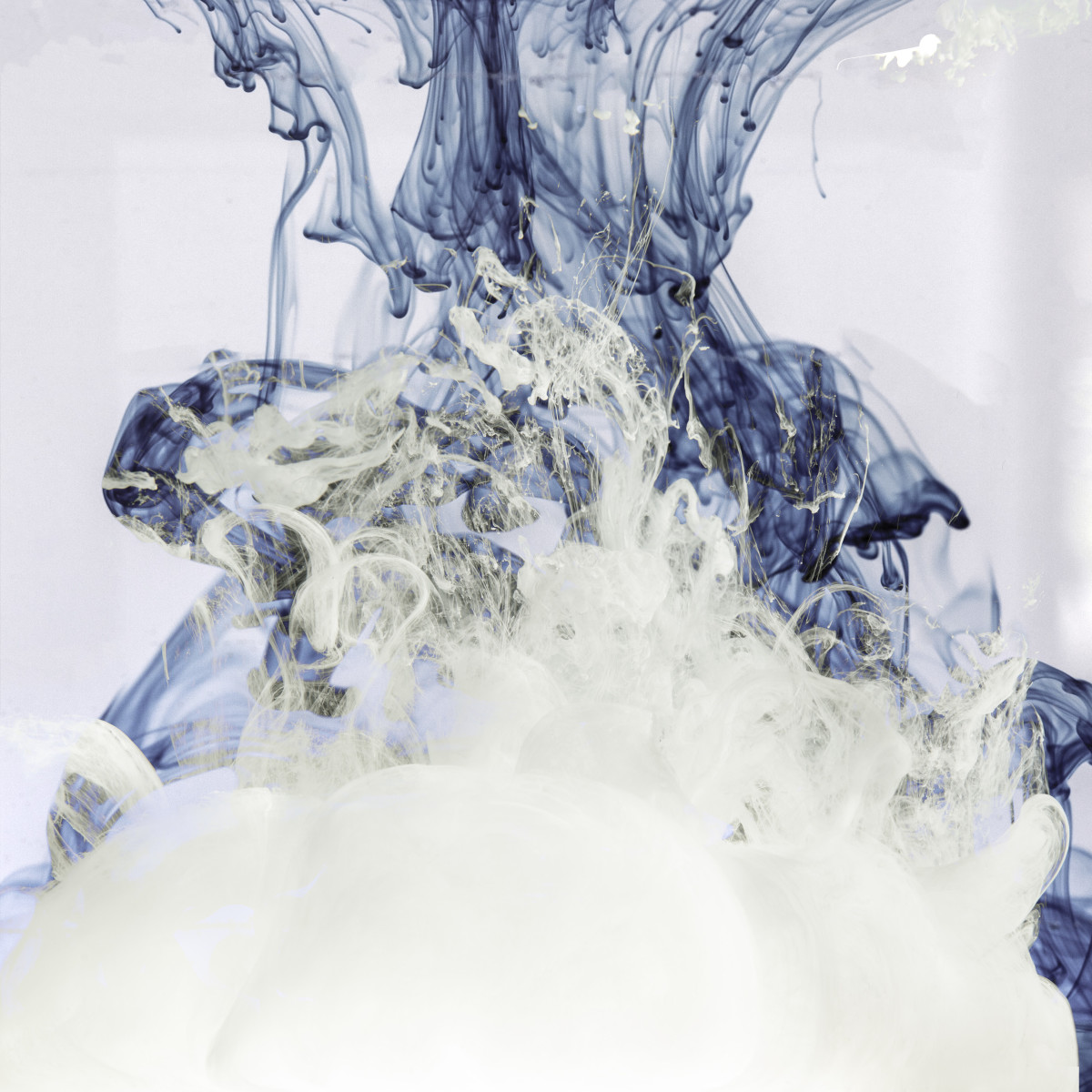 Crescendo 2 by Carol Paquet 