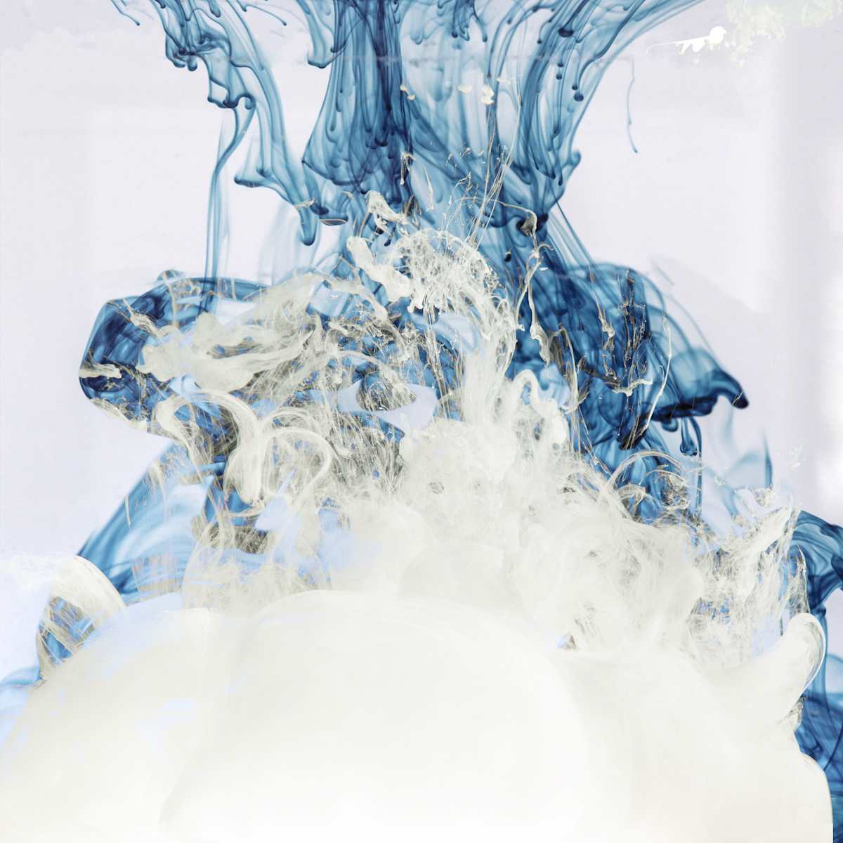 Crescendo 2 by Carol Paquet, Image 1.