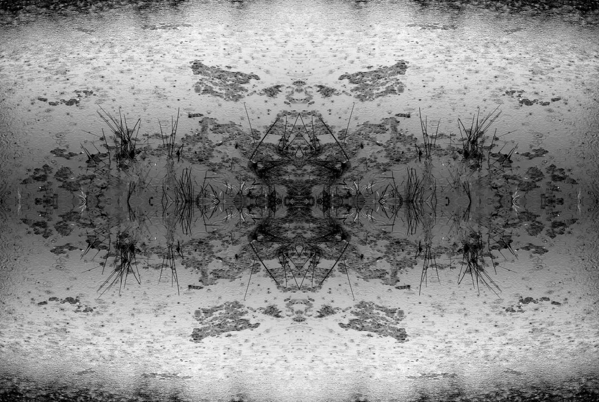 Crystal rain by Carol Paquet, Image 1.