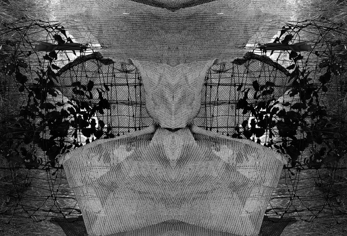 Flayed ambition by Carol Paquet, Image 1.