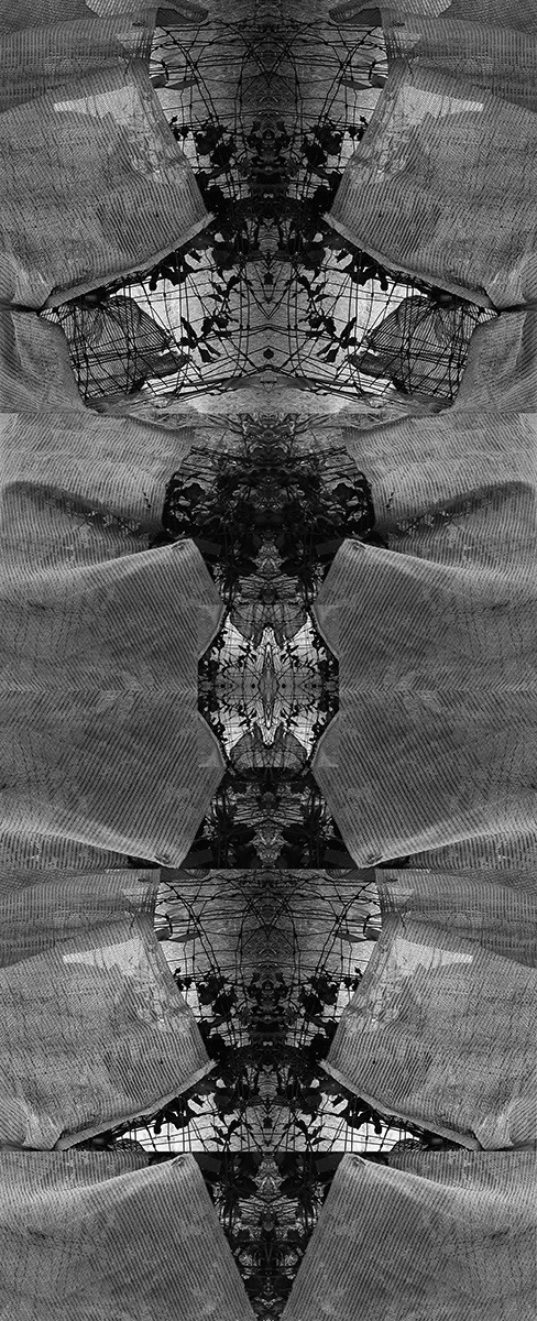 Folded foilage 2 by Carol Paquet 