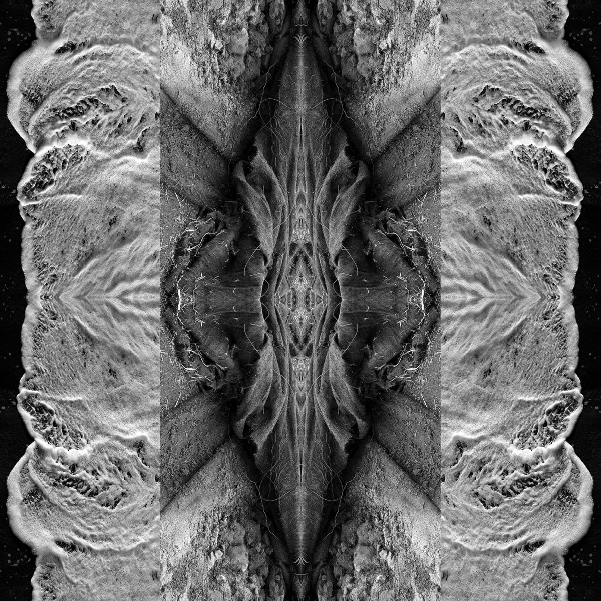 I know by Carol Paquet 