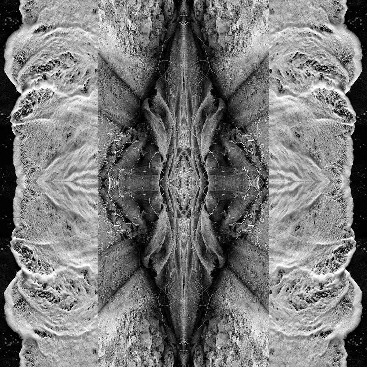 I know by Carol Paquet, Image 1.