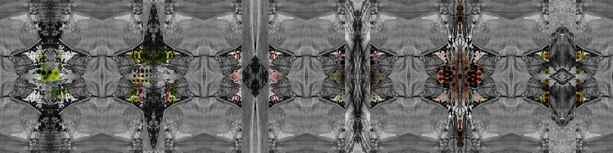 Untitled by Carol Paquet 