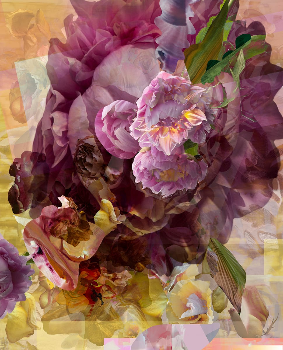 Sweet Violet by Carol Paquet 