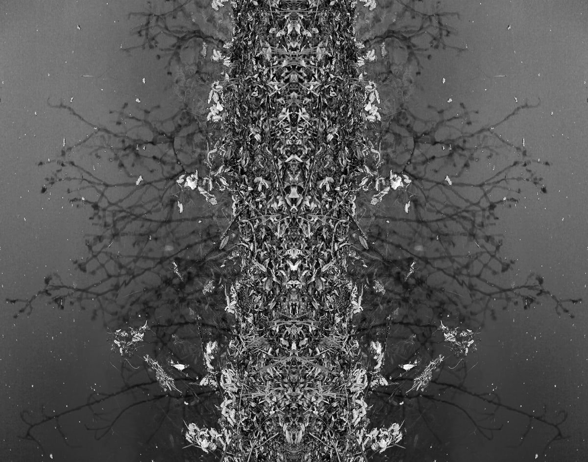 Tapestry floated, Image 1.