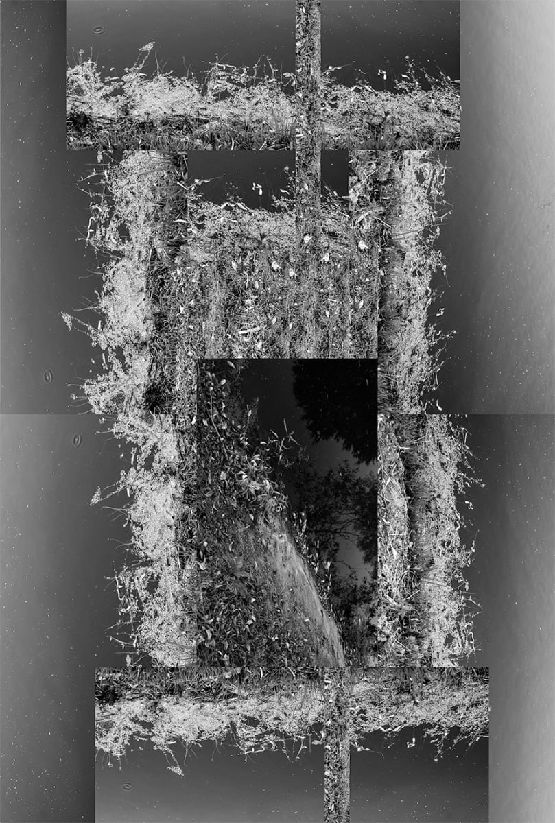 Water scribe, Image 1.