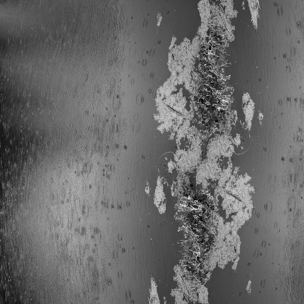 Water wall by Carol Paquet 