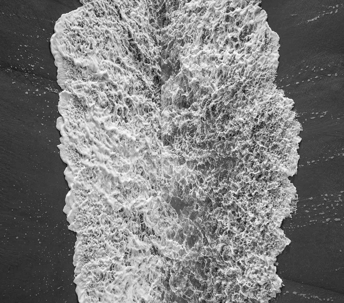 Whitewash 3 by Carol Paquet, Image 1.