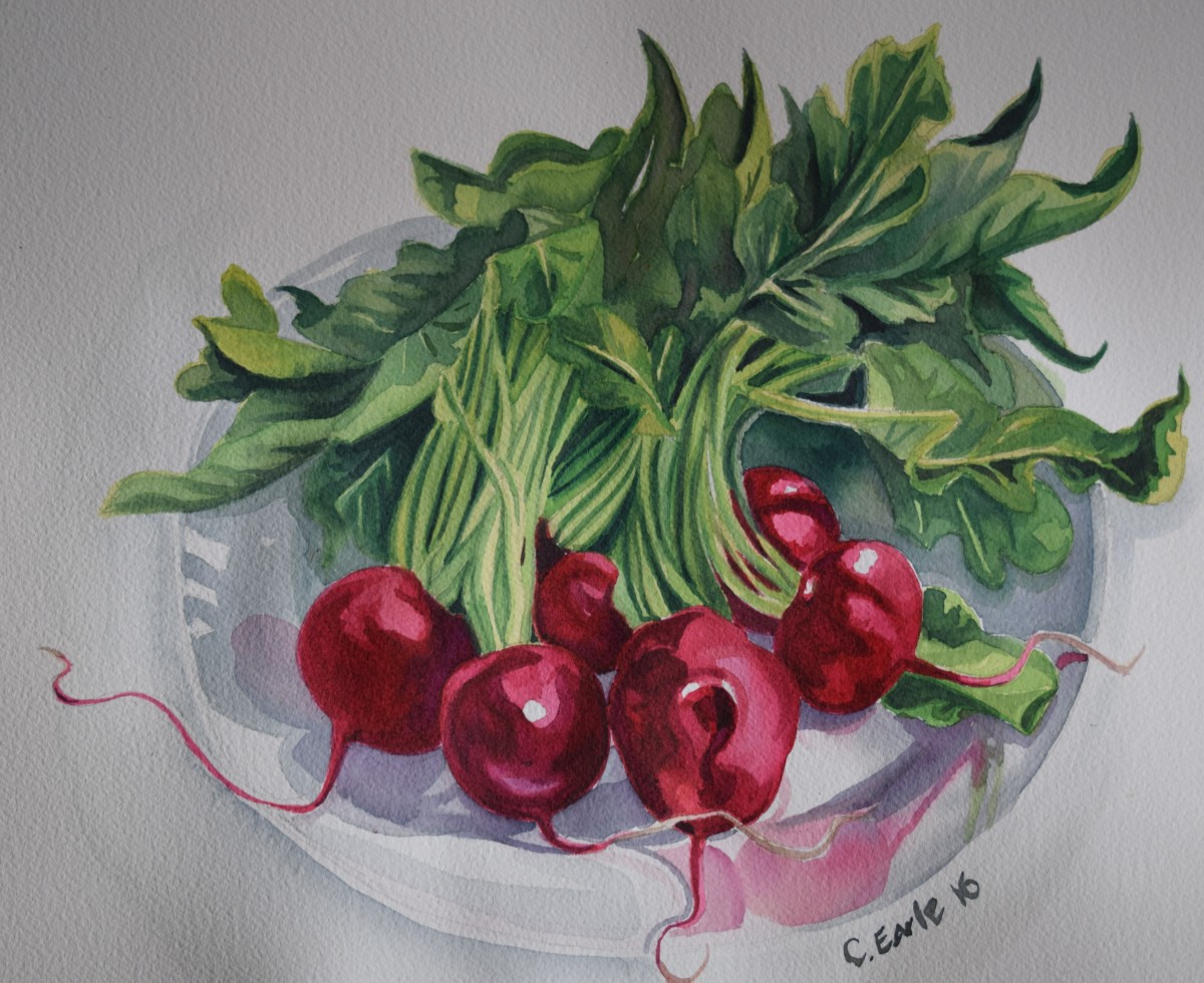Ravishing Radishes by cathy earle 