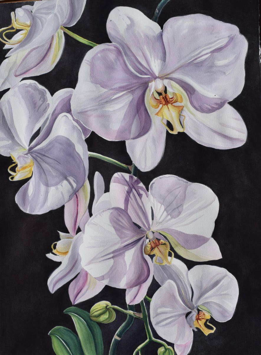 Quiet Elegance by cathy earle 