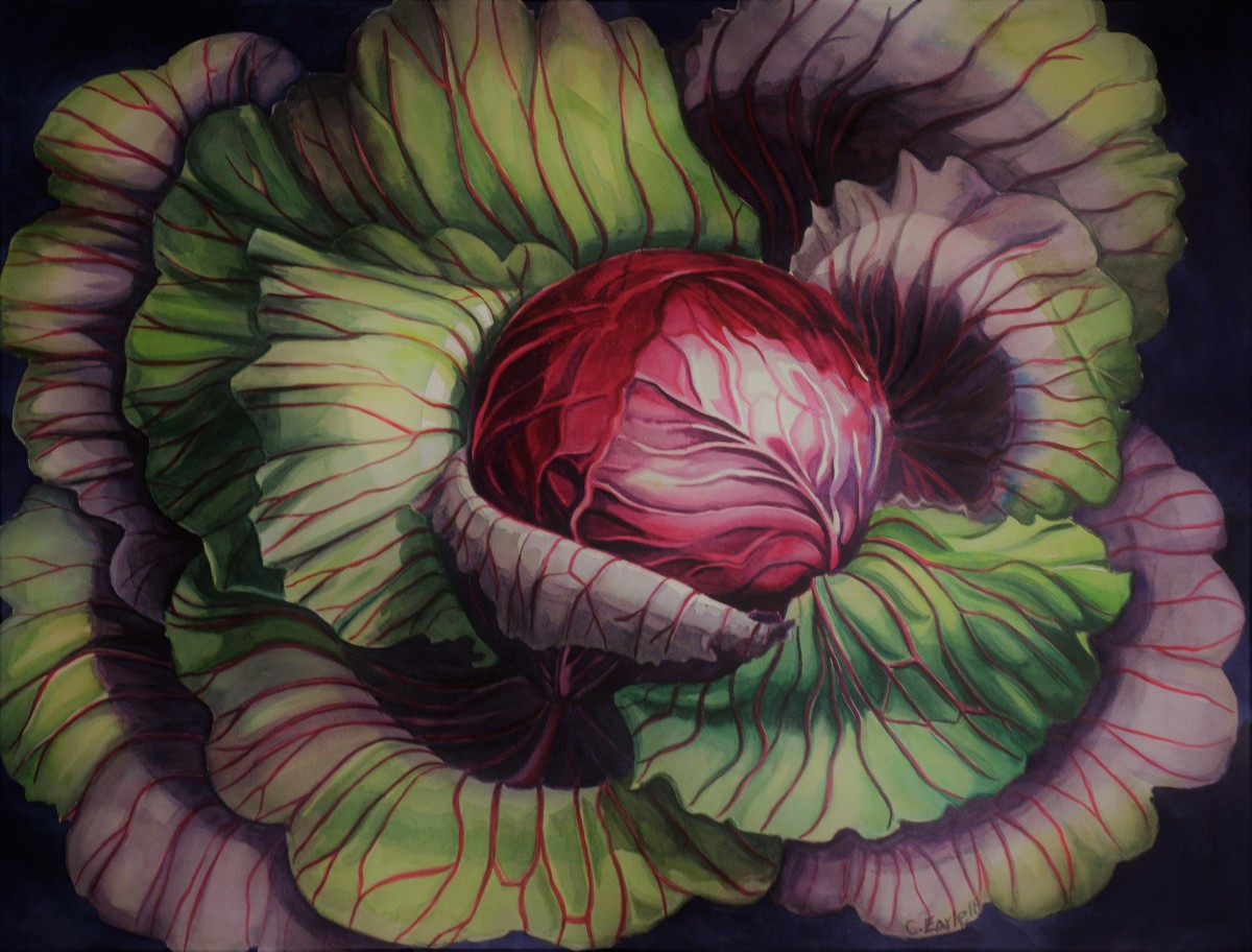 Red Cabbage by cathy earle 