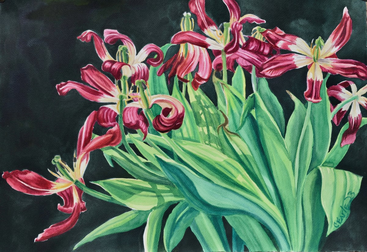 Dancing in the Moonlight by cathy earle 