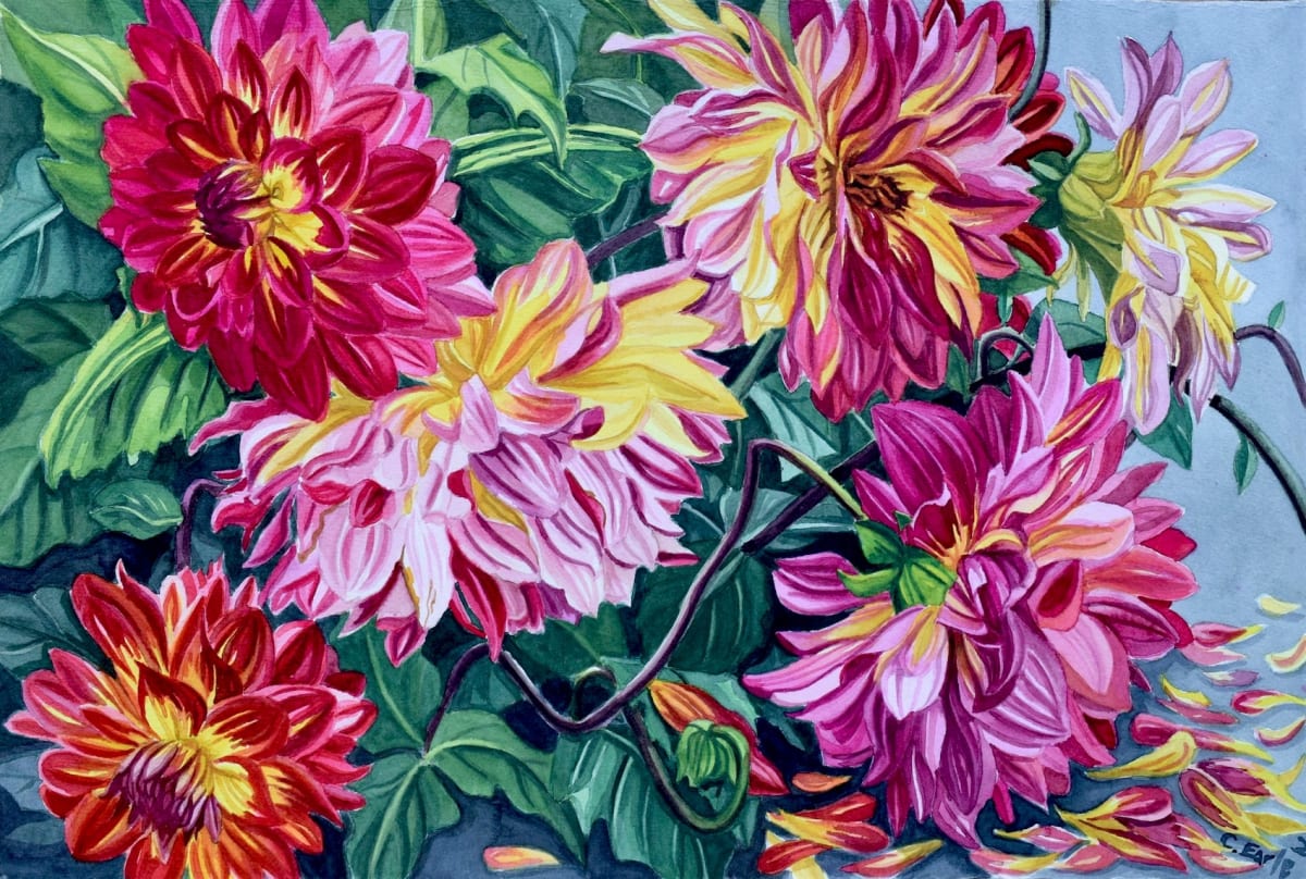 Fall Dahlias by cathy earle 
