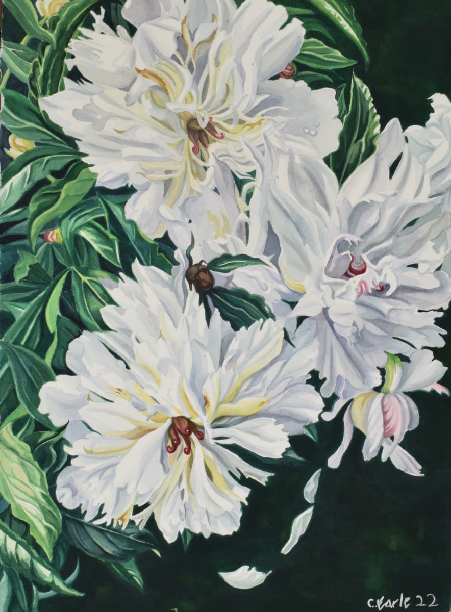 Passion Play by cathy earle 