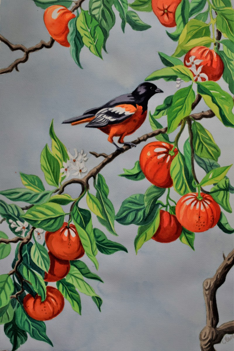 Be my Clementine by cathy earle 