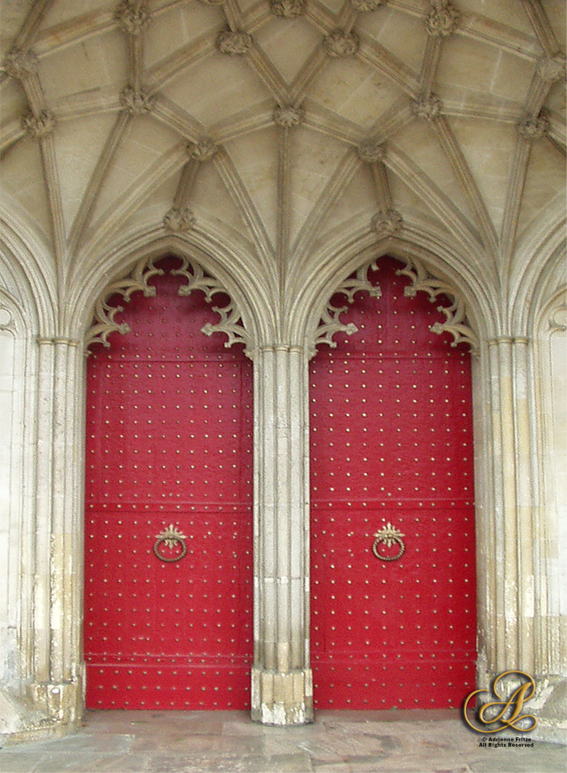 Backdoors of Winchester Cathedral by Adrienne Fritze 