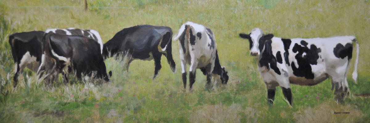 Cow Pasture by Robert Patrick Coombs 