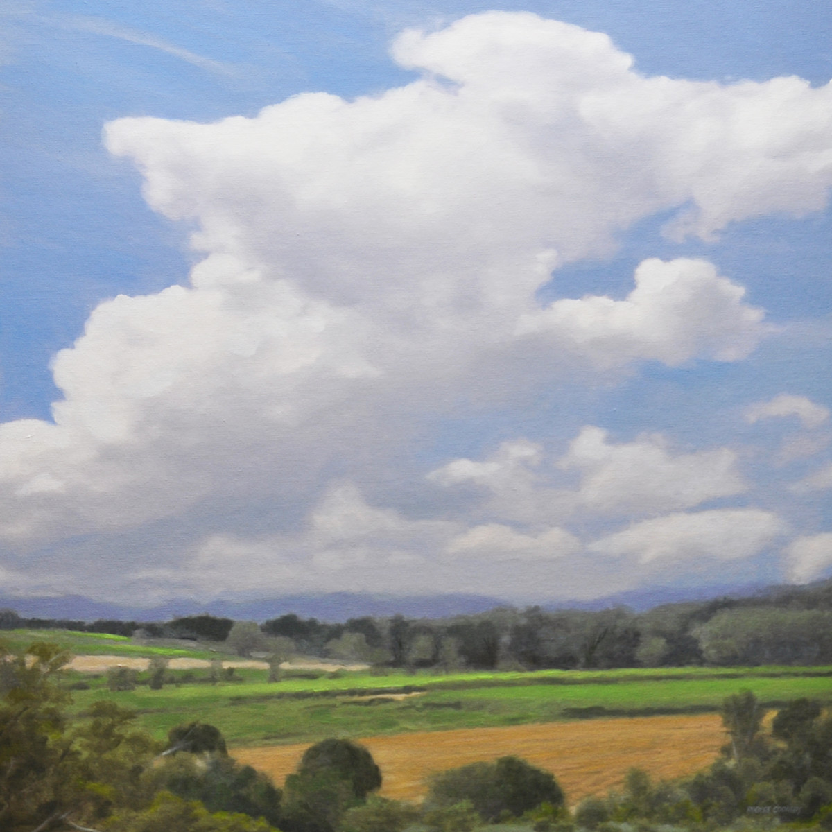 September Sky by Robert Patrick Coombs 